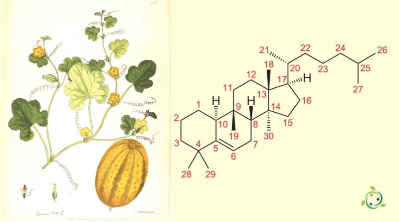 Cucurbitacina