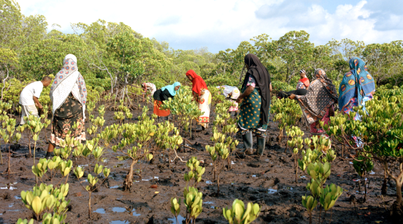 Gli Himba e l’agricoltura