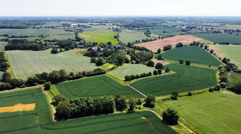 Agricoltura moderna e pesticidi