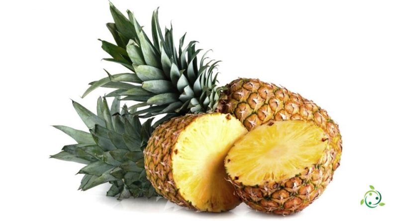 Come si prepara lo sciroppo di Ananas