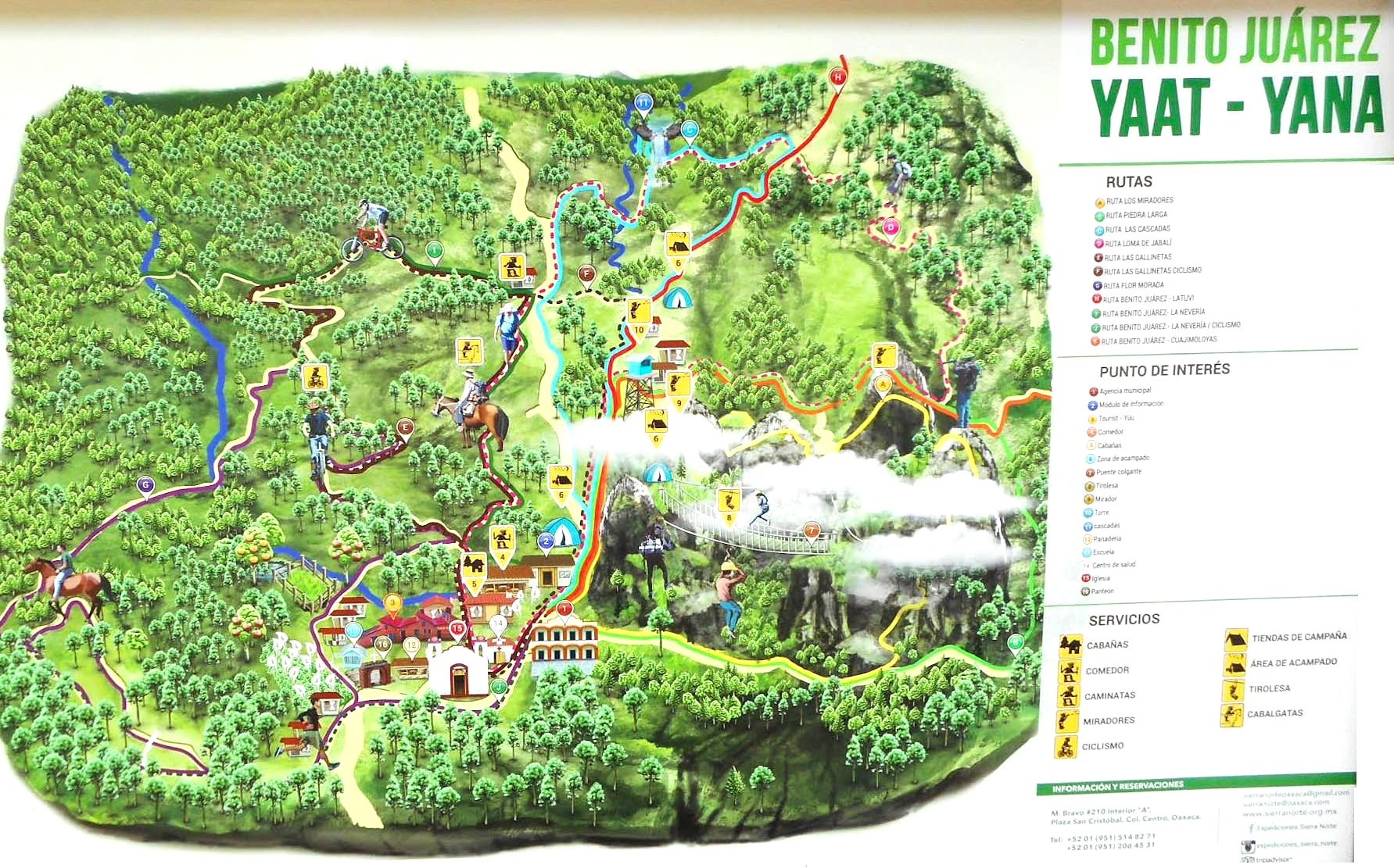Parque Nacional Benito Juárez: geografía, clima, flora, fauna...