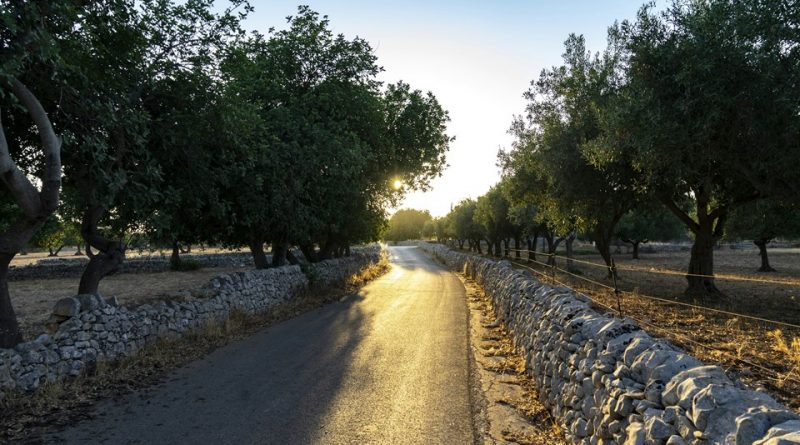 La tutela della Biodiversità siciliana