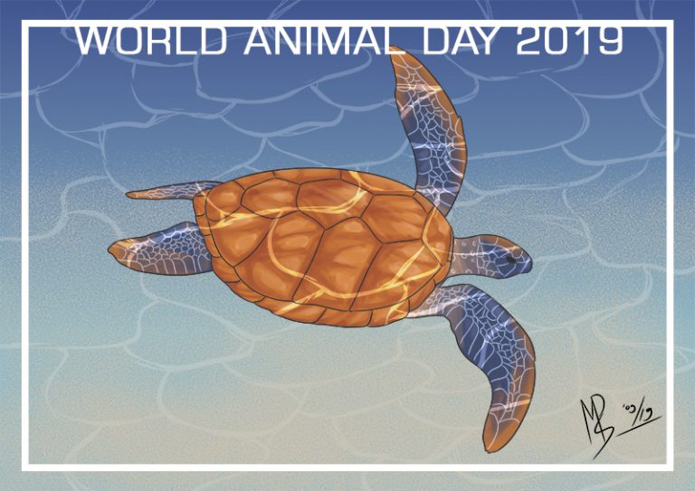 World Animal Day 2019