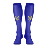 Barham AFC Infant Match Socks (12-2)