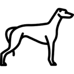 Greyhound racing Ikona