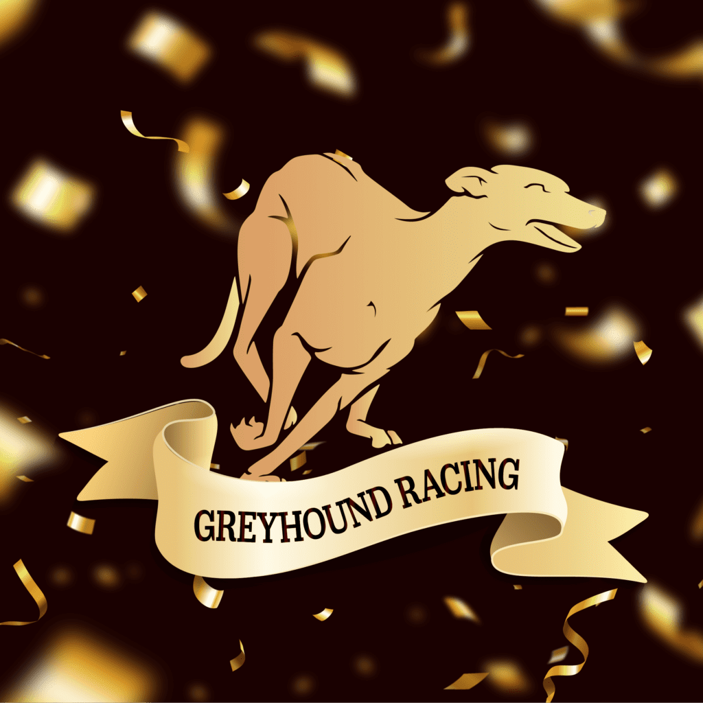 Best Greyhound Racing Betting Sites 2024