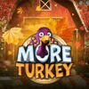 More Turkey