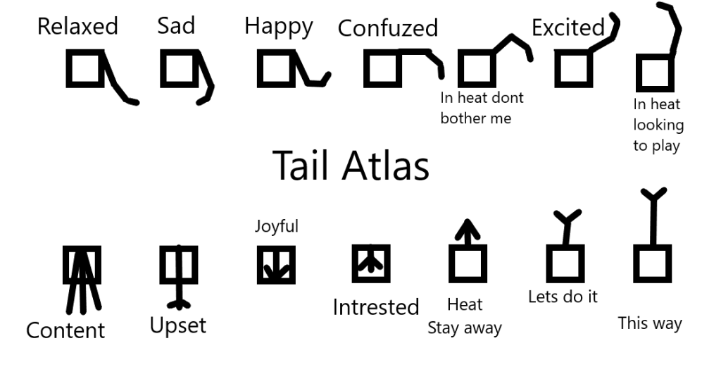 The current image has no alternative text. The file name is: tailatlas.png