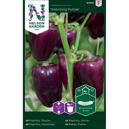 paprika snacking purple