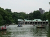 centralpark-5