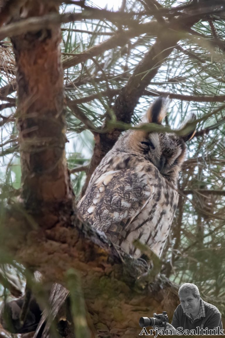 Lange Duinen Soest