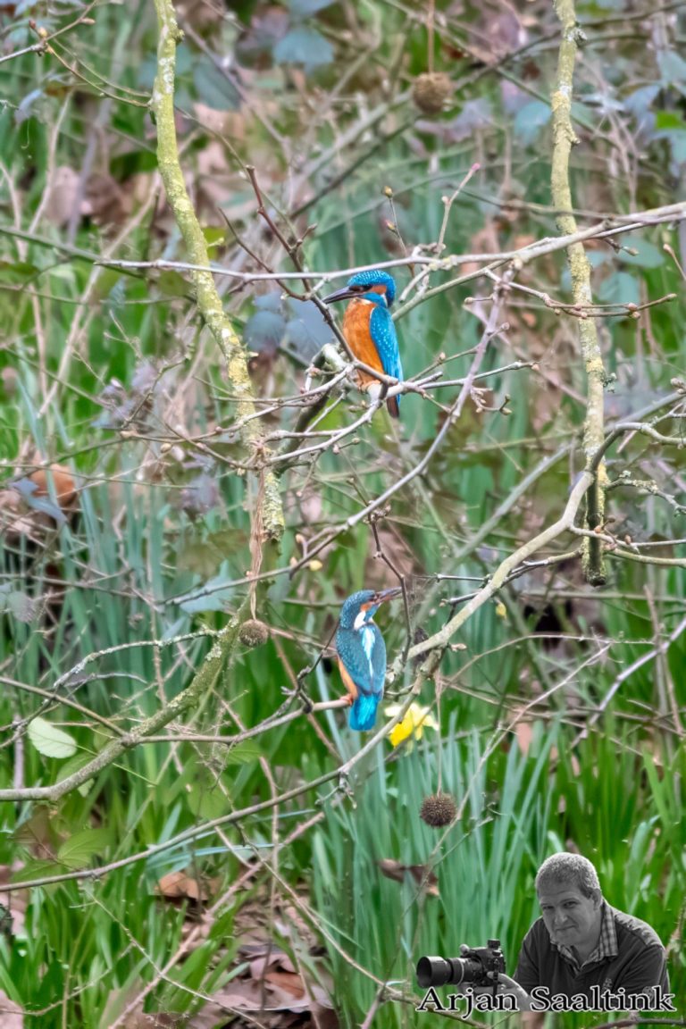 Landgoed Oldenaller