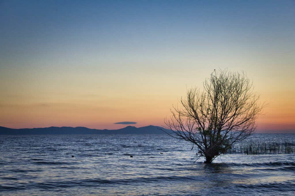 Foto de Chapala por ArqEcohoa