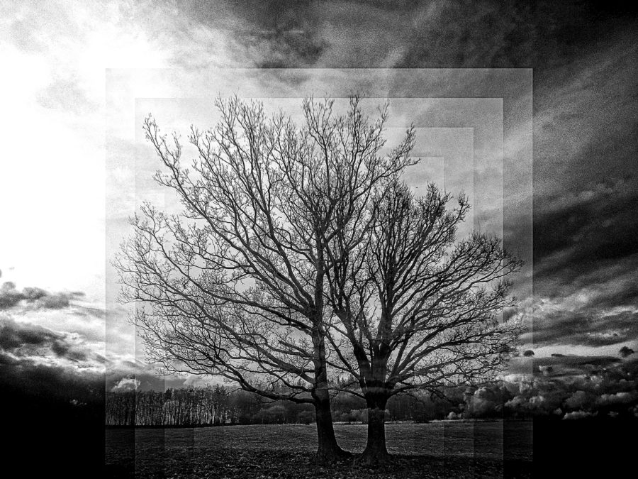 Memorable Image B&W 2015