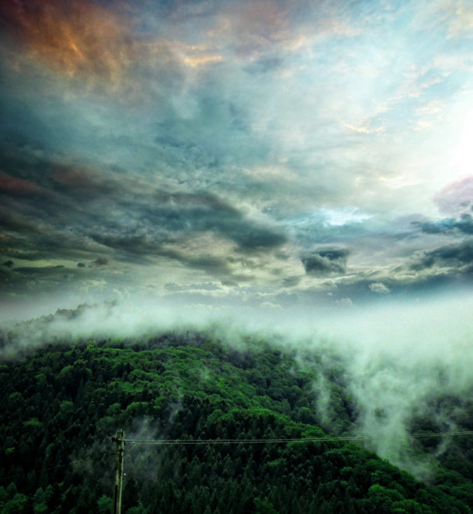 Carpathian Fog 2013