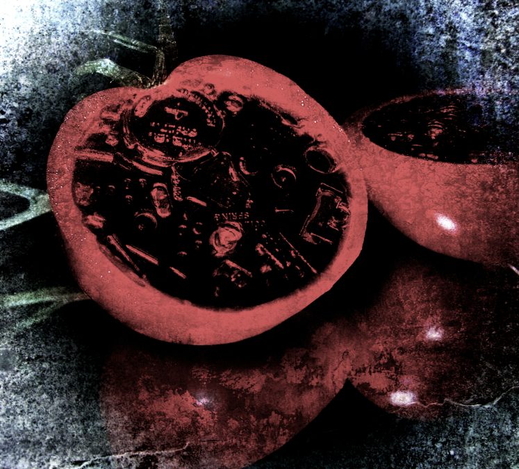 Modified Tomatoes 2008