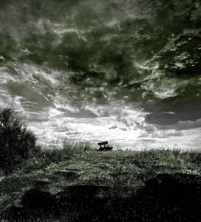 On the Dyke 2011
