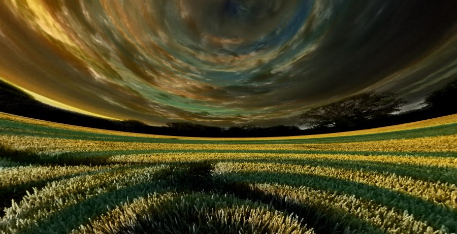 Wideland 2012