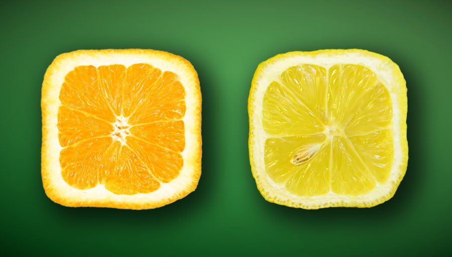 Fruit Slices 2010