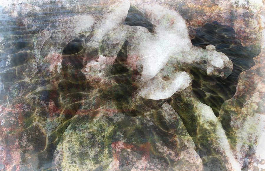 OPHELIA 2010