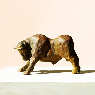 Toro Intimo