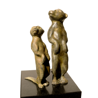Meerkat