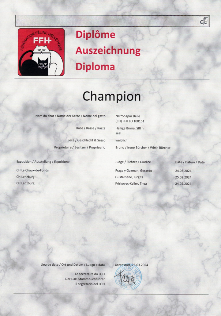 Belle Champion Heilige Birma