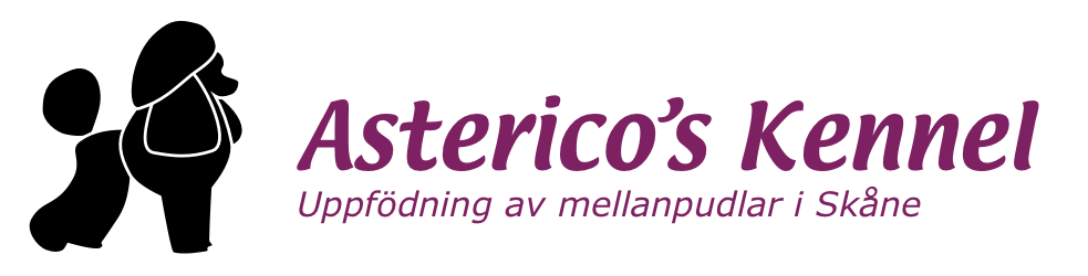 Asterico's kennel