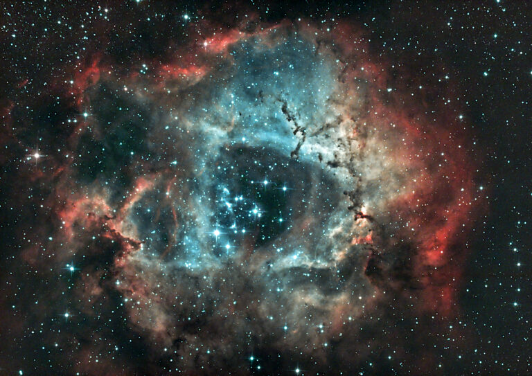 Rosette-nebulosan