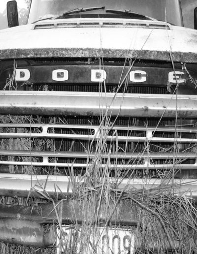 Dodge