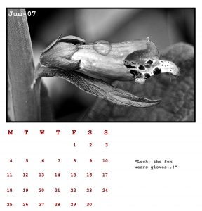 Kalender