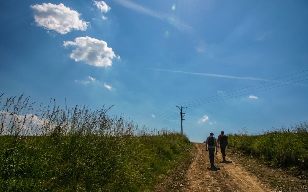 Summer Break in Sankt Augustins Kirke 21.06 – 11.08