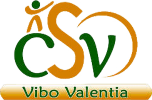logo-csv-305x200png