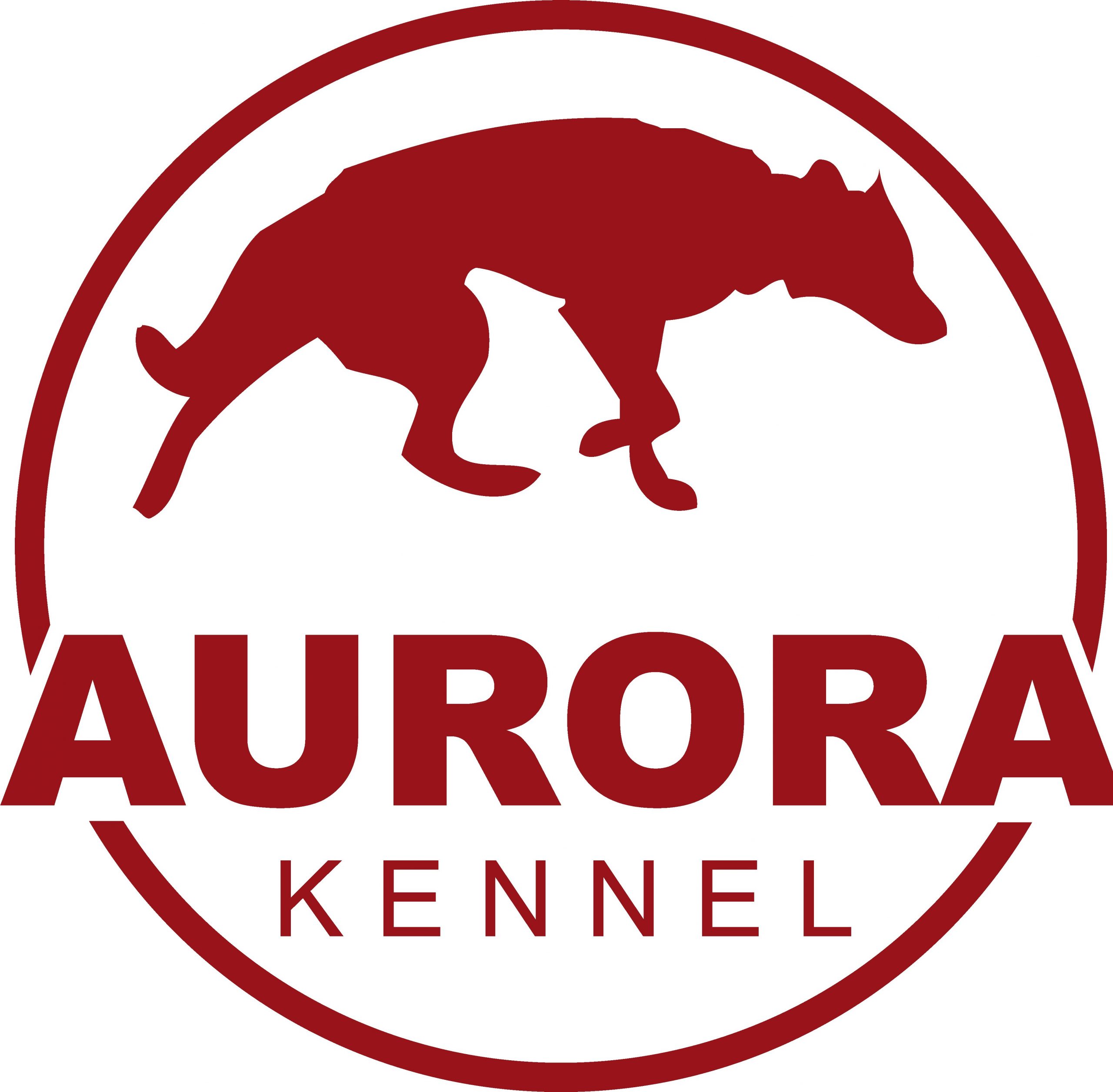 Aurora Schlittenhundeabenteuer – ……… Gutscheine können auch online versendet werden…