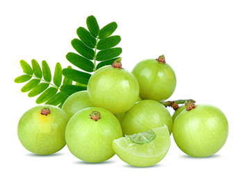 Amalaki
