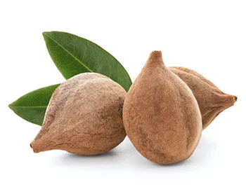 Bibhitaki