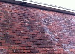Clogged-gutter-wall-damp_edited2