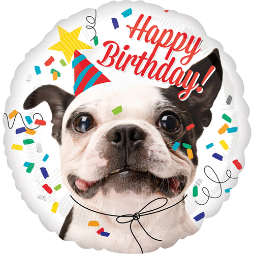 Happy birthday hund - Giv en ballon - Ballonkompagniet ApS