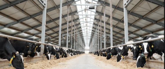 Work in Denmark for workers in farms