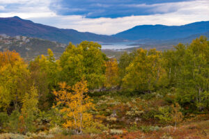 Jotunheimen 4