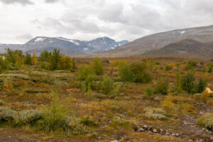 Rondane 7