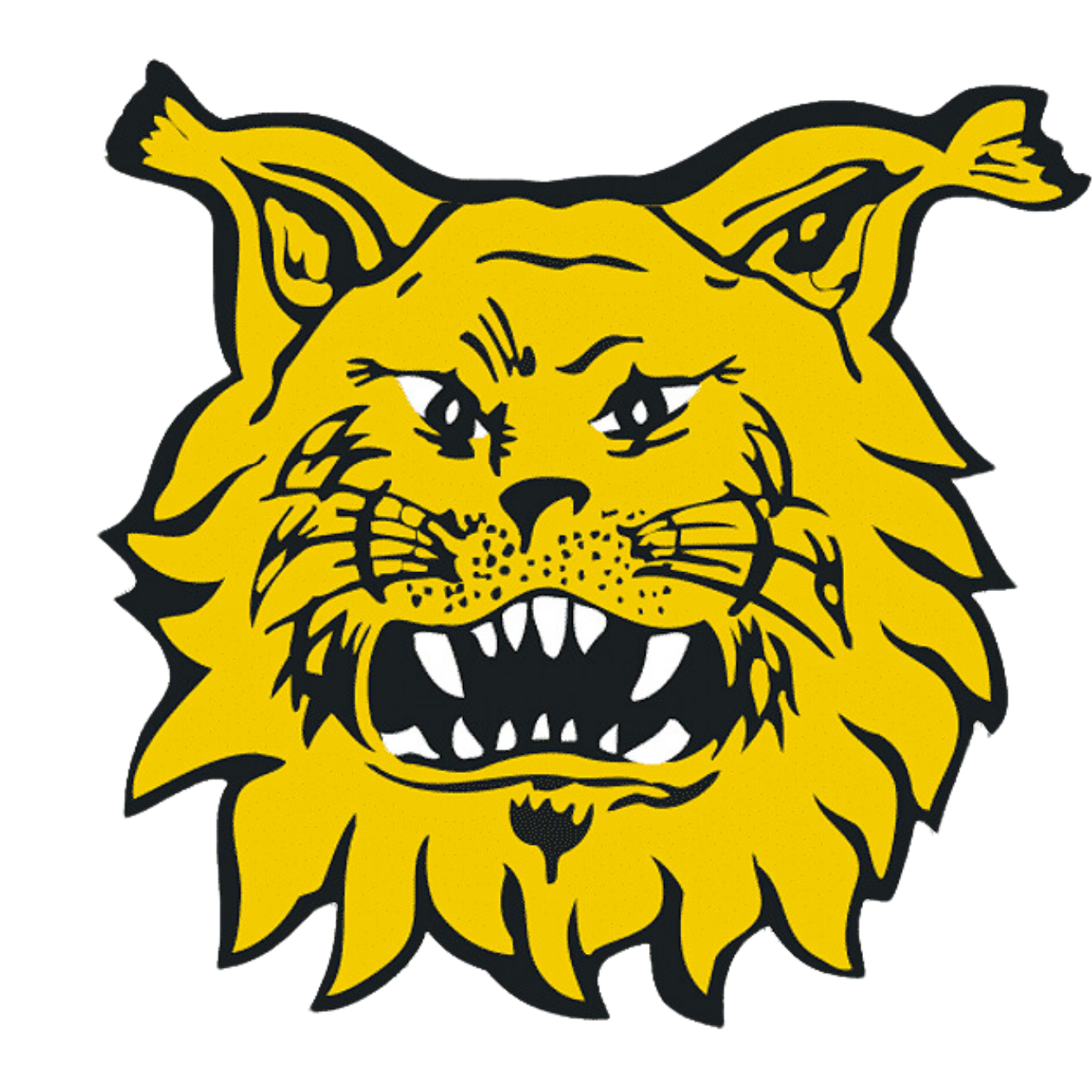 ilves fc logo