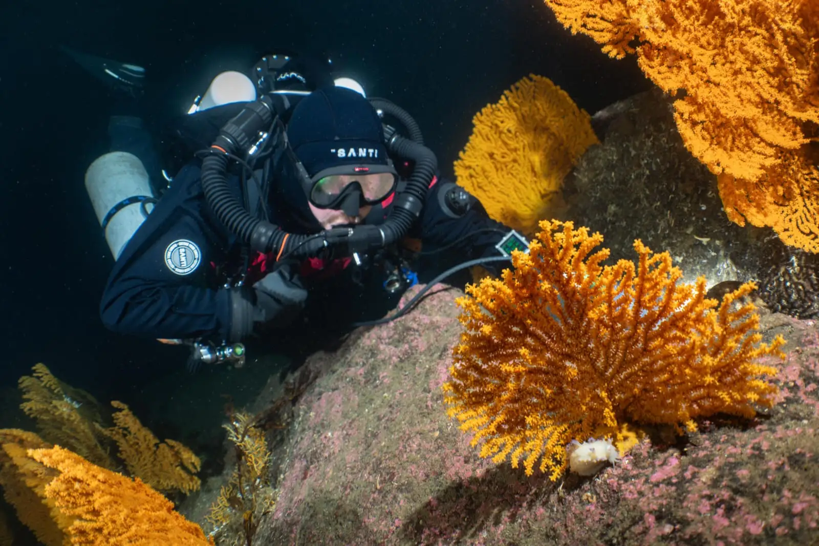 Diver descending along the wall in Skarnsundet