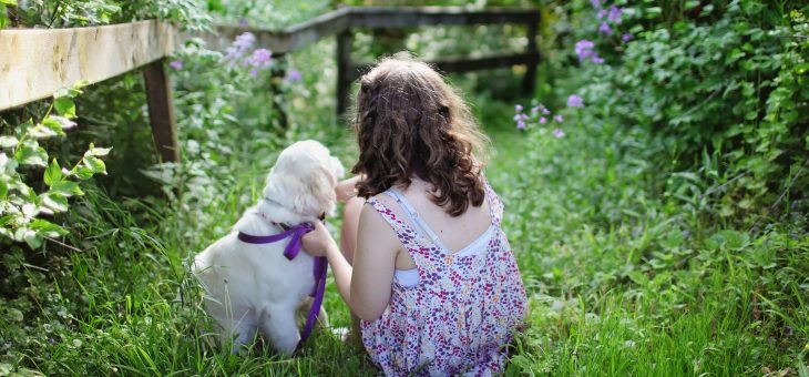 The first step when greeting a dog … ask the owner!