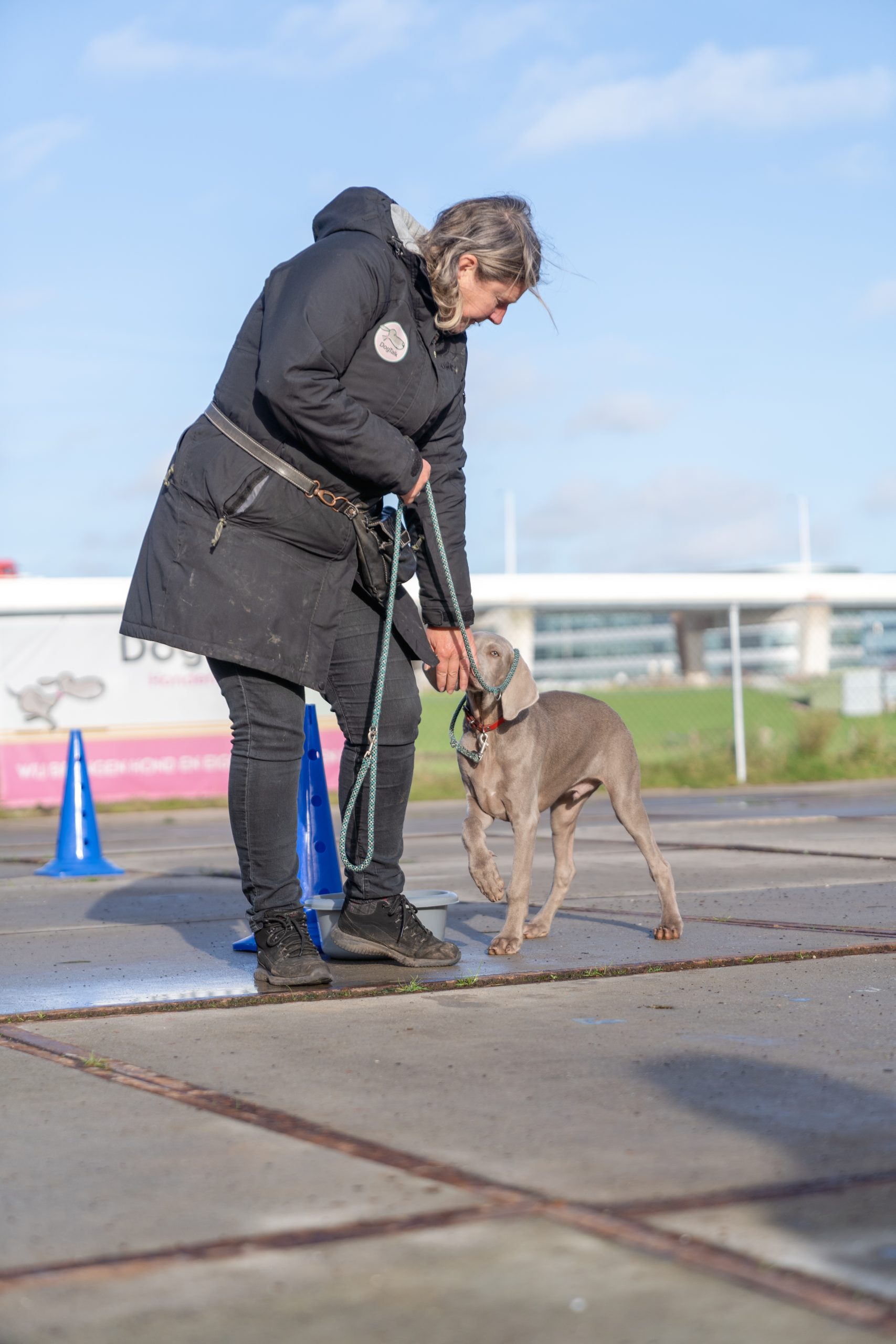 Puppy tijdens hondentraining in Amsterdam