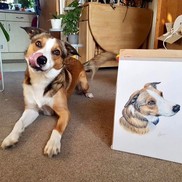 Becca's Pet Portraits