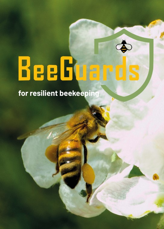 English version: Flyer. BeeGuards for resilients beekeeping