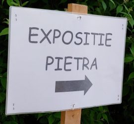 Komende exposities