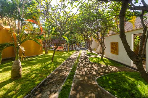 Garden View