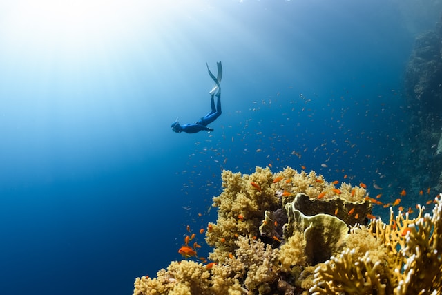 Penyelam scuba turun melewati terumbu karang di dekat Gili Trawangan dengan air biru jernih dan pancaran sinar matahari